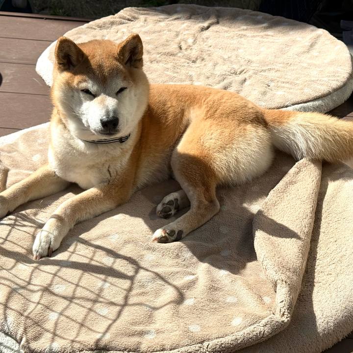 0985d5b9 2447 4674 81ce ddc66a0b8cb9 1773414964689