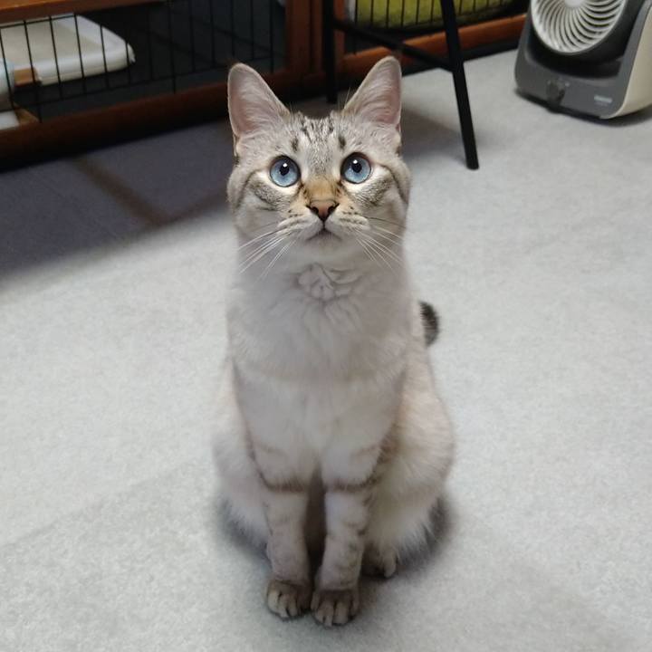 0985d746 81b9 4050 be15 7a615cb81842 1661084370460