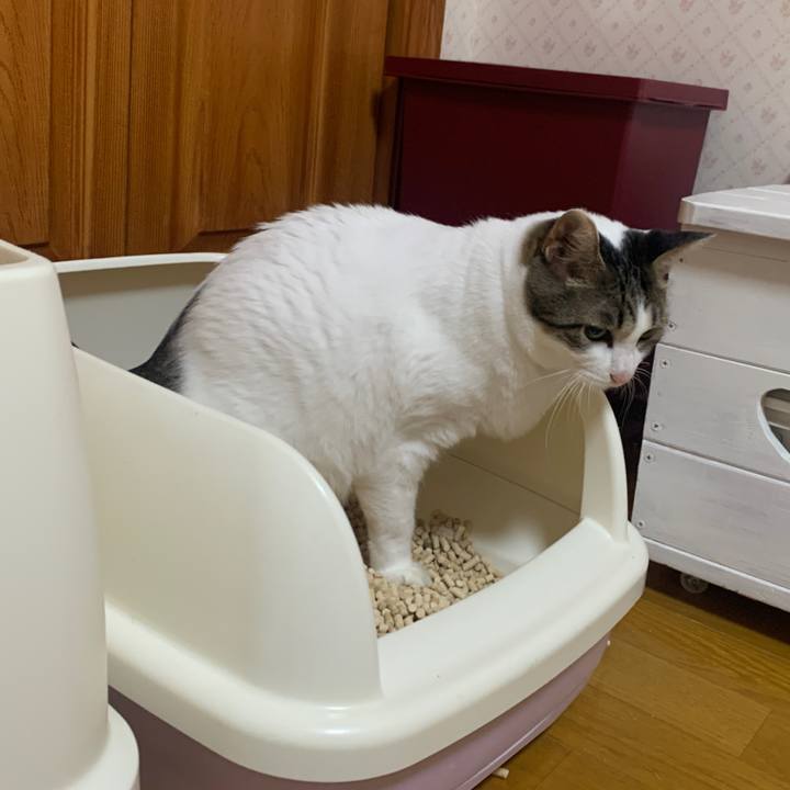 0986012e 526b 4de1 80b6 02c214ed93a0 1664396961103