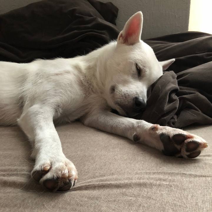 098605bd 1ee5 4ea6 8047 4573138a3579 1537230955602