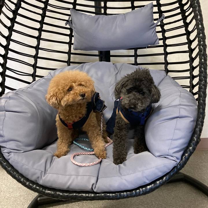 09861887 a9f0 4195 82c2 739c84403372 1679466013325