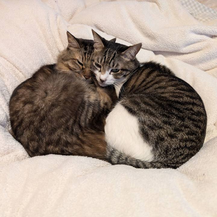 098619ee 9449 4153 9a2d 17f75bb4c141 1762988098283