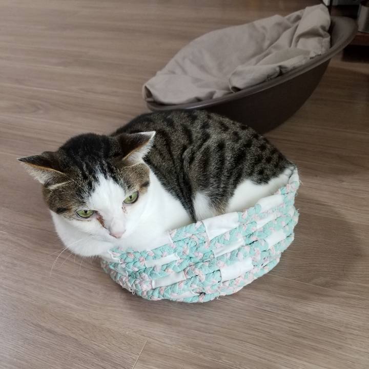 09864ae0 0ffa 4be1 a29b 07014e9e4711 1622581789939