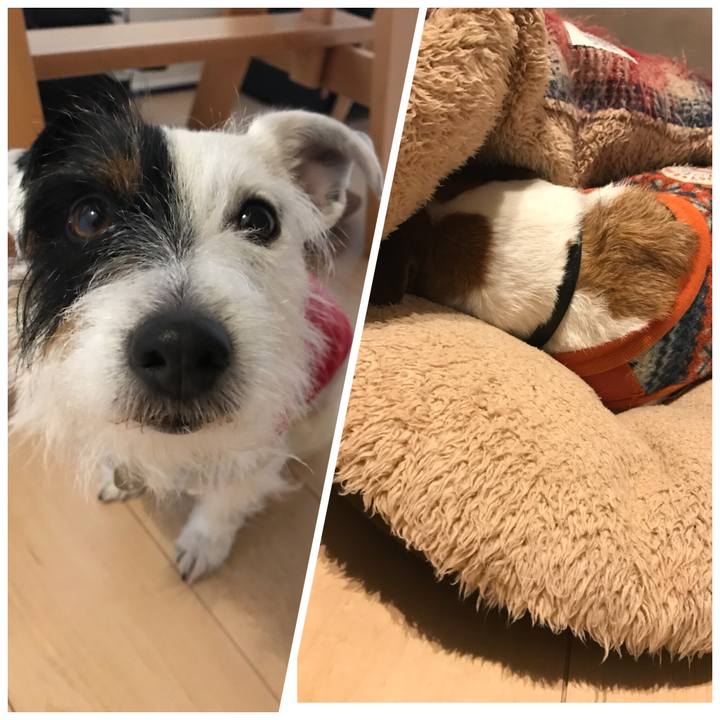 0986b87b 0077 4ed3 a9f0 dcda77980f03 1516188159970