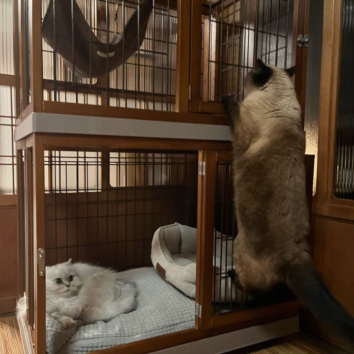 0986c88d 7fbf 4736 828f db38aa8e334a 1685152022801