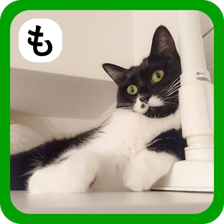 0986ca87 1bd8 4ad2 9556 d2ebfb292ca6 1514770035363