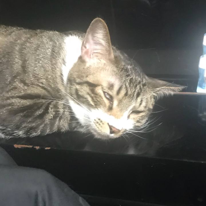 0986df10 13ca 4380 a0d7 d37734d73026 1517490485328