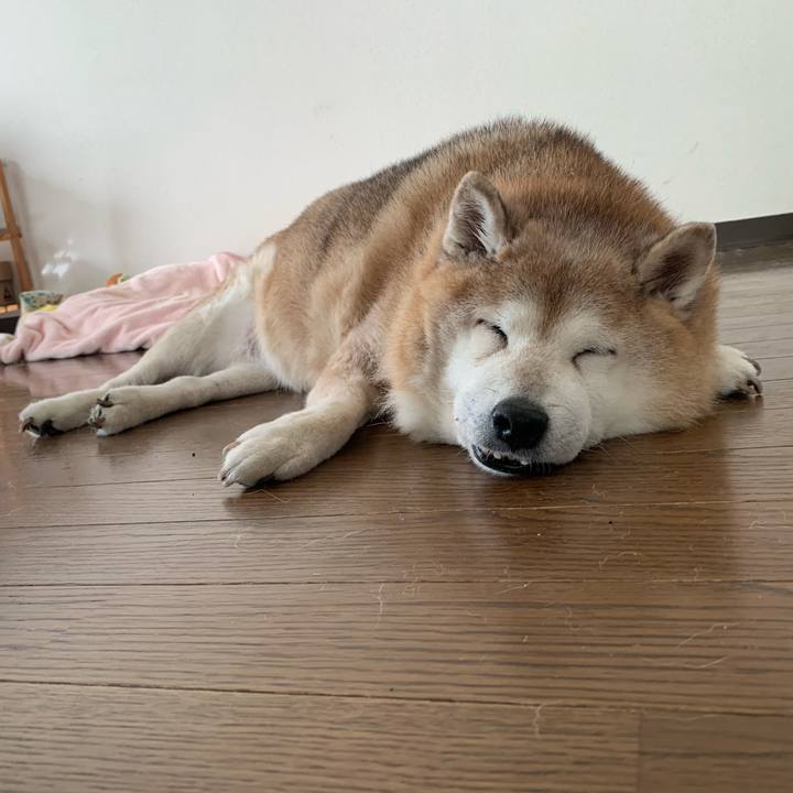 0986e349 33b6 4997 b3e3 36a3d5e7ea83 1634965756845