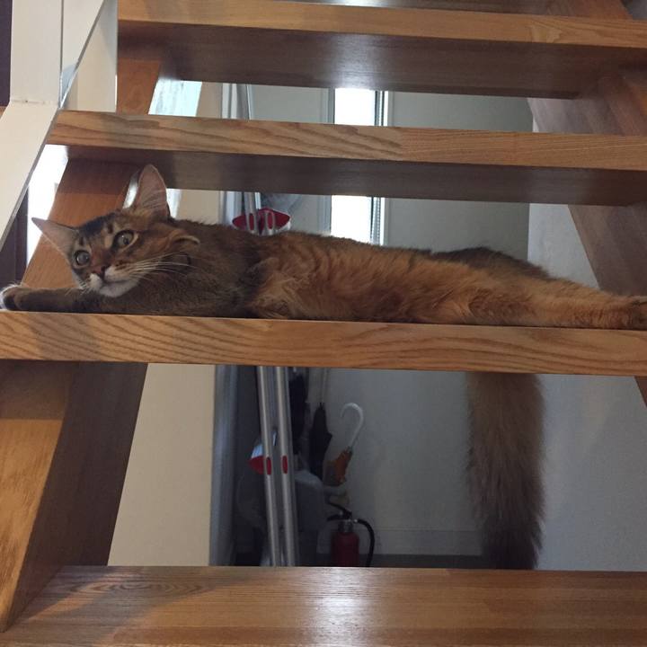 0986e8bc 94f2 4522 82a7 7dad69bd5afc 1565310908388