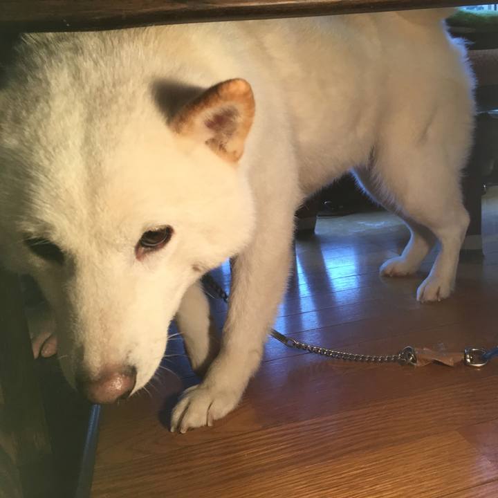 098720bb 6791 4b6b 93b5 282a412bb631 1547336220071