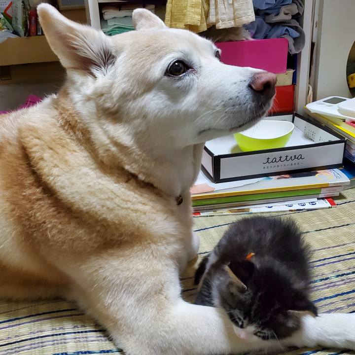 09874519 9882 4953 ba1c 54117cc8cc42 1624845858071