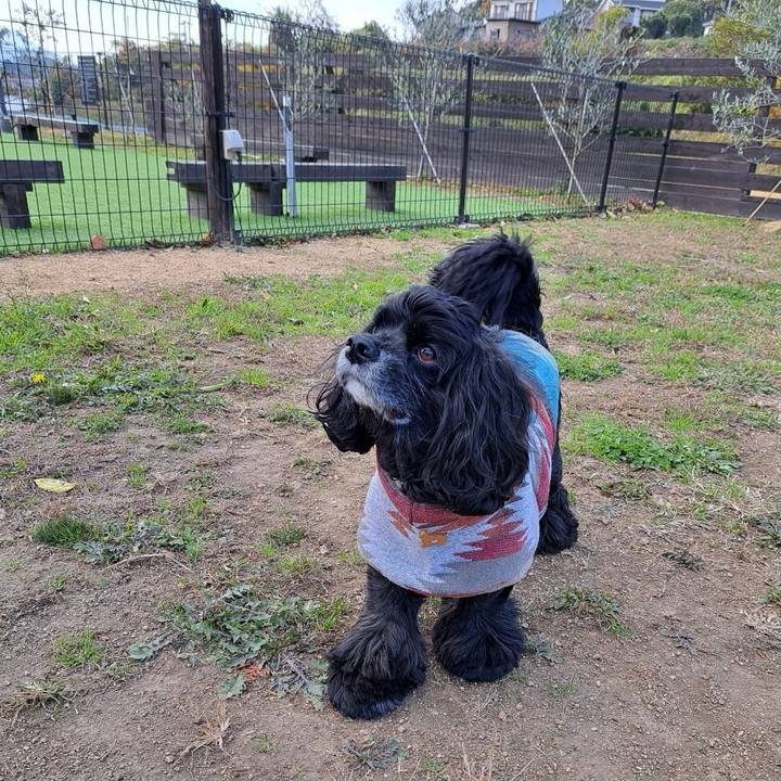 09874be0 57af 4a00 b49b 7f3fe0f7a3eb 1701931164617