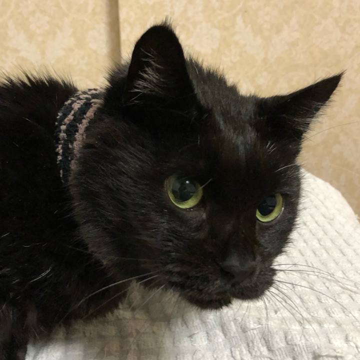 09874d46 9ada 469f b83d ac92473090f9 1636552320159