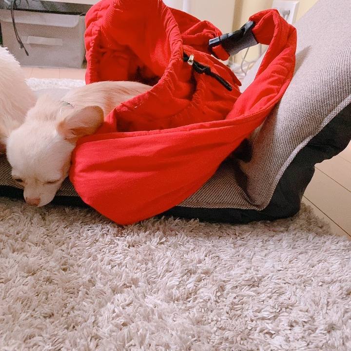 09874e36 e045 4a2f 9731 653911e68b53 1629065740462