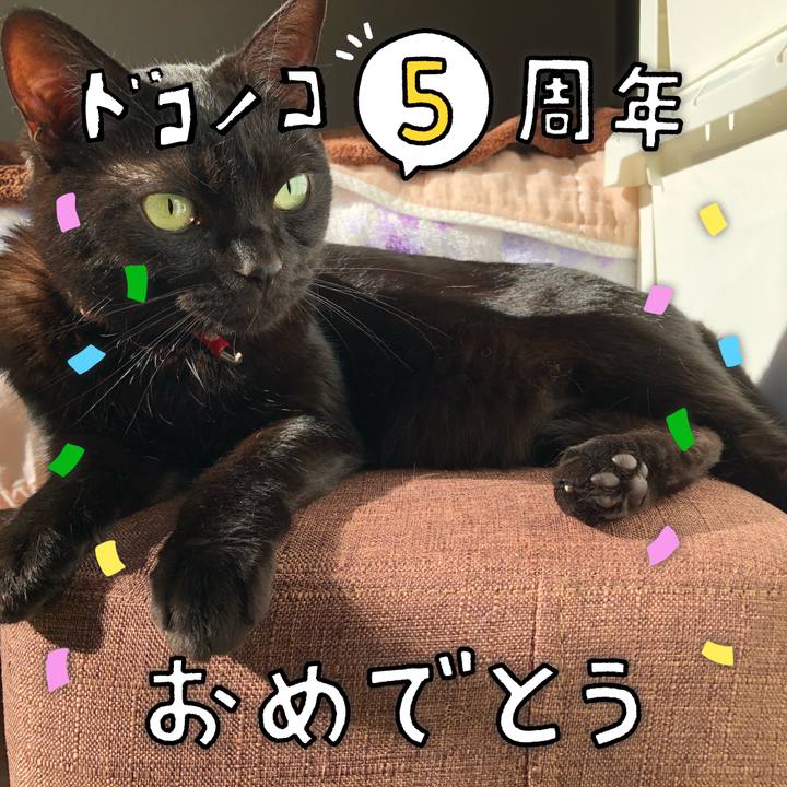 098760c3 67d7 44a6 ab8e 6d0bab20261b 1623191527836