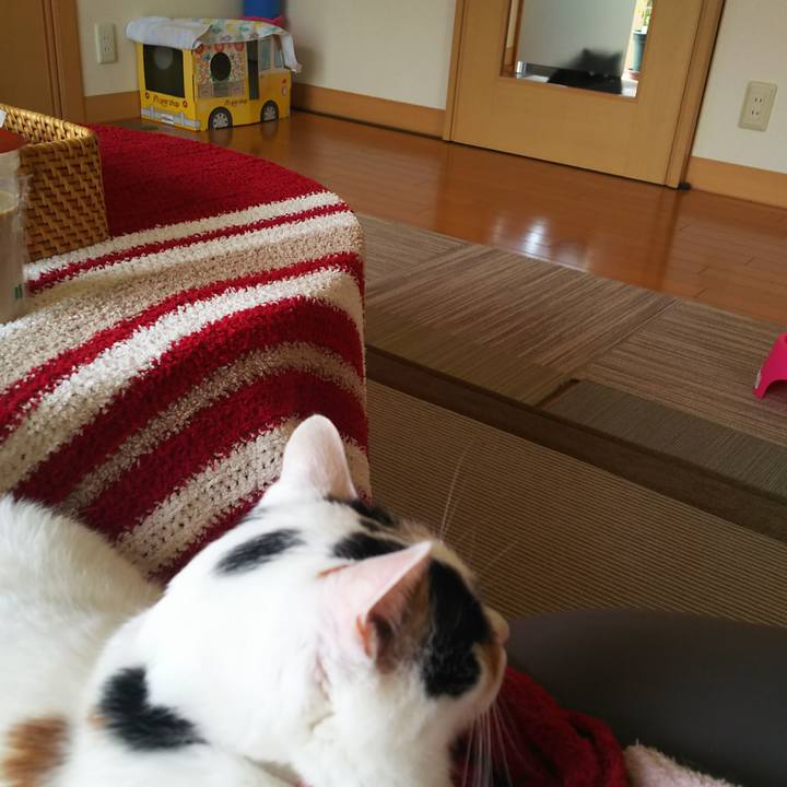 09879ab6 a425 4fc7 965f 671424ac4d7b 1562741673803