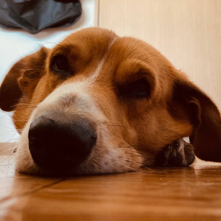 09879aea 453b 4a96 8d96 6ea1a1b315a8 1691199836410