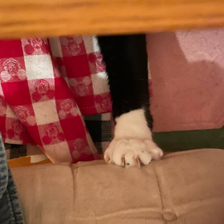 0987a422 e1ff 4d49 b3fe b030b9001083 1652442670244