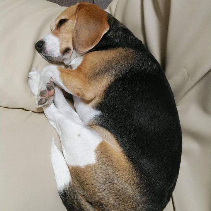 0987b3c8 2af3 419d bbad 10bd462f7c96 1769647307679