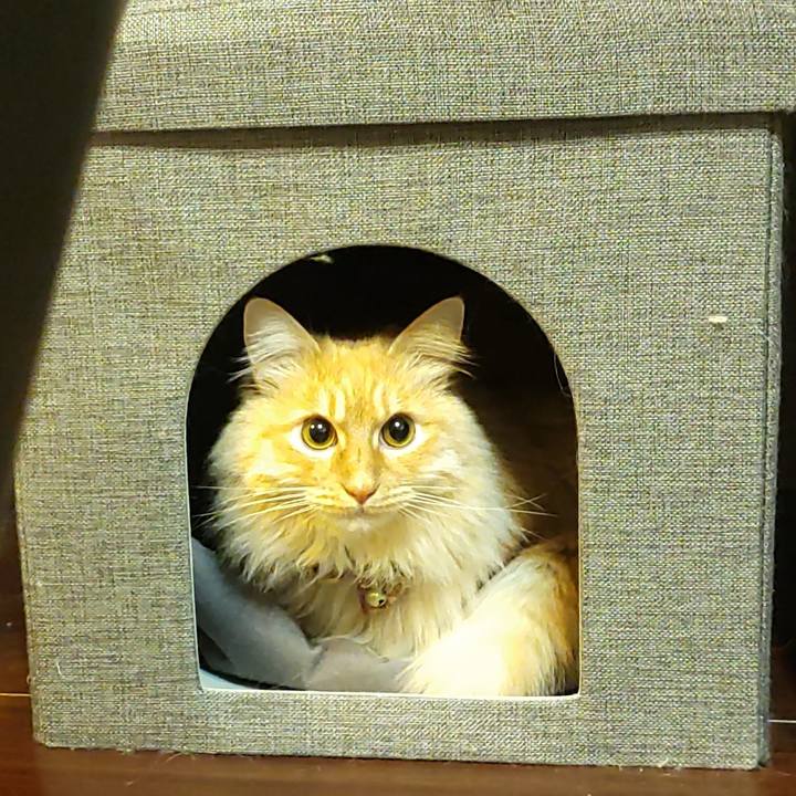 0987b511 b588 4312 9d8f 136c65ac2427 1674999654418