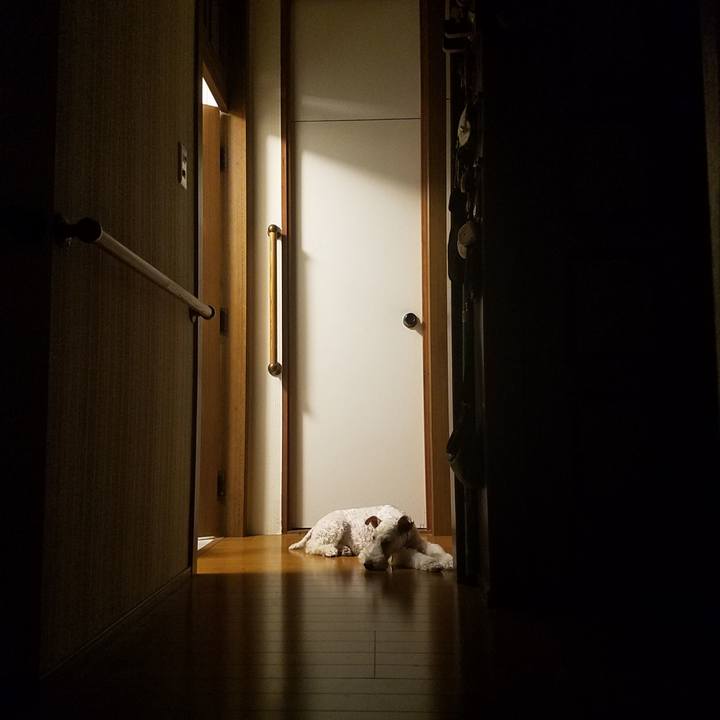 0987c5c9 b417 4aa8 8a53 45c4c3368d1d 1570719874035