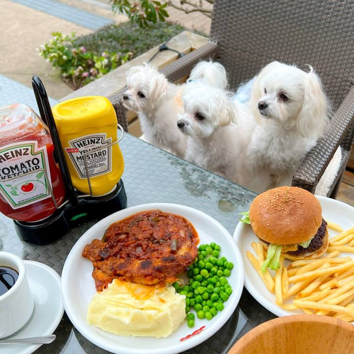 0987cf20 a033 4c72 929a 8bb8d165802d 1679394576889