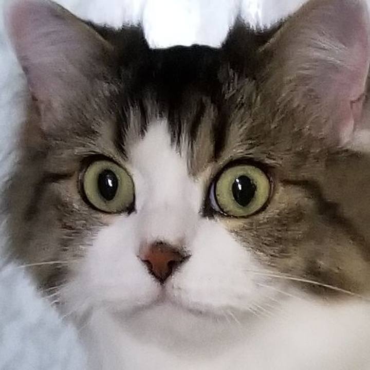 0987e68a c442 4a52 9c71 99e1fdd3a15b 1564196138536