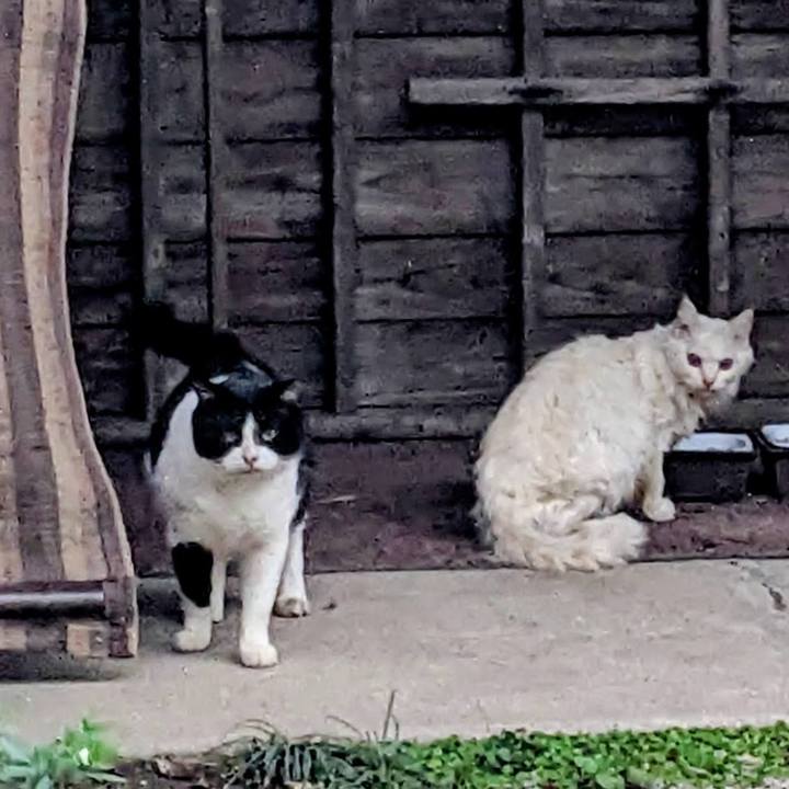 09881abc a510 4e3e b834 dfa00f99cb2f 1763469891496