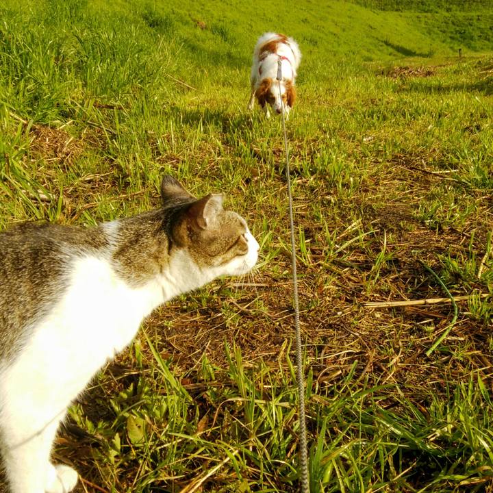 098897ee 0d15 4341 8571 57a356205ad3 1554682467748