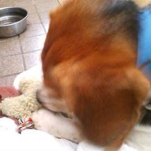 0988a46d 829f 4947 81b6 41c5f6c2e061 1761536808445