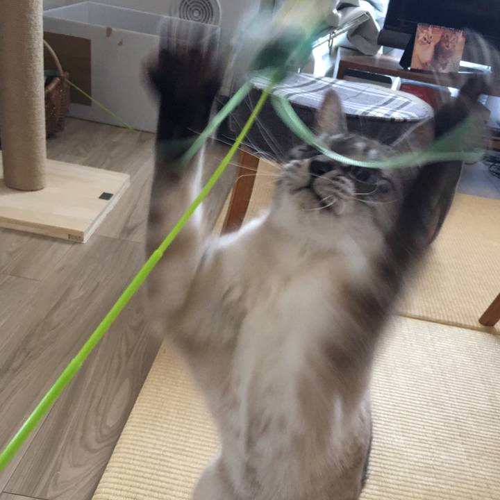 0988bf2a dbe5 4221 857d f75a2c311644 1580690928069