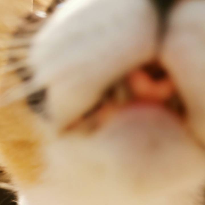 09890ac2 67d9 4235 bf47 98553e312926 1643945907316