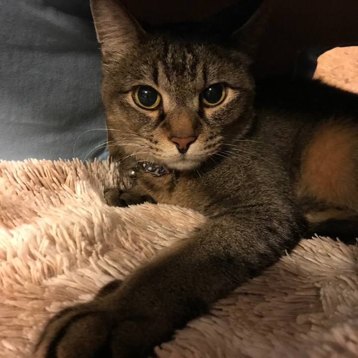 09896934 41c5 42c0 91e2 e92165f62a67 1556722169882