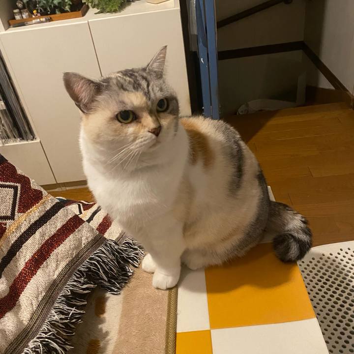 0989c7fb 9f55 4c13 9552 29dd712b06b1 1734427357602