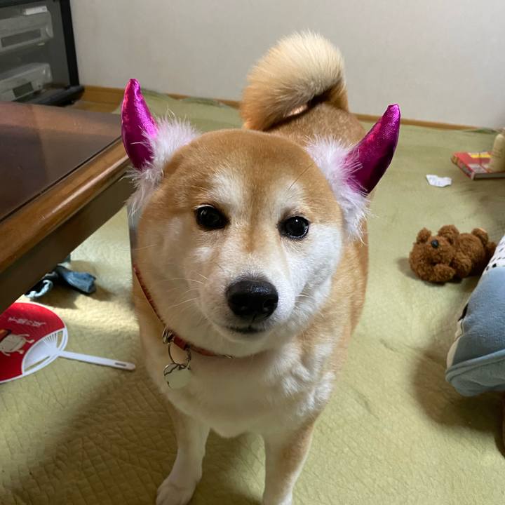 0989c857 91d0 4640 ae5b 37a2f3124278 1578138542385