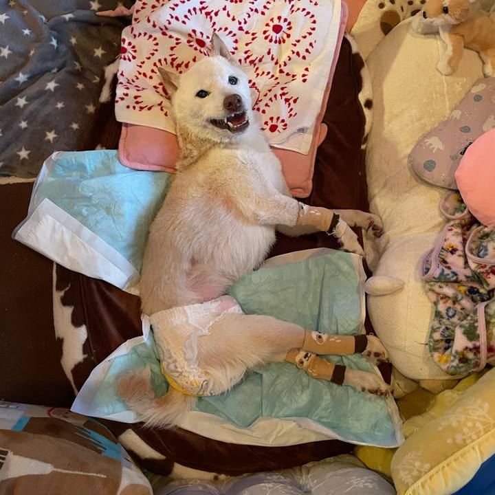 0989f38a 832d 4067 8da1 ec8c5d6601df 1679043016605