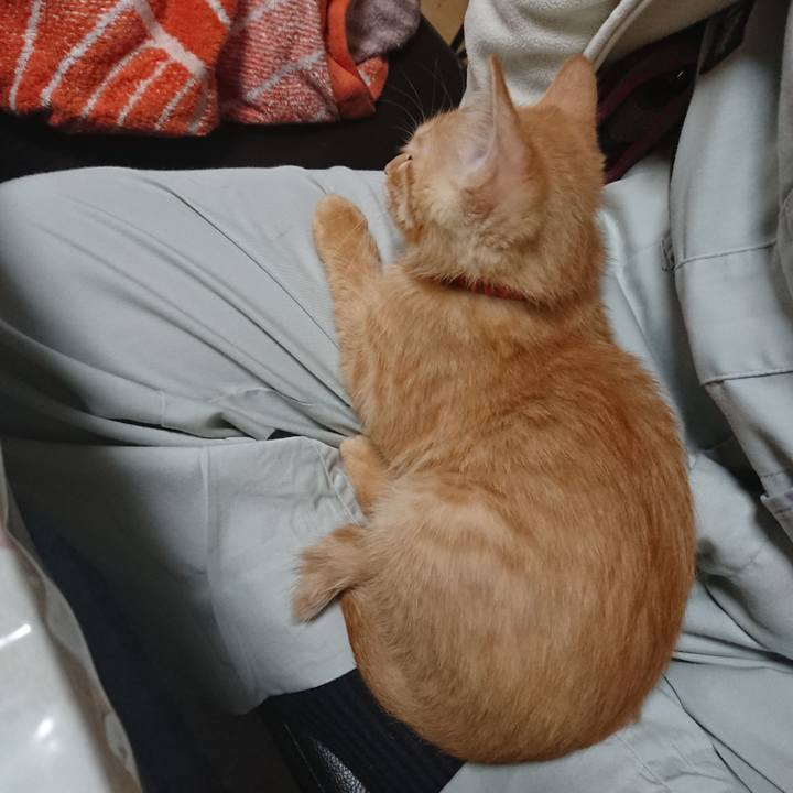 0989fc7b 937d 4c95 8ca9 dfbb06d51f61 1631744899310