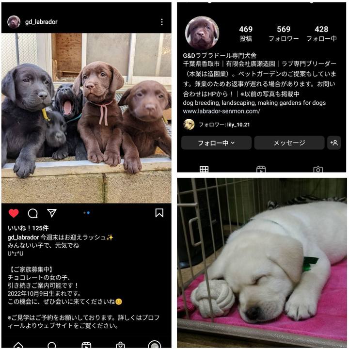 098a0996 46cc 47c1 87f4 ddc89877fe11 1671118218521