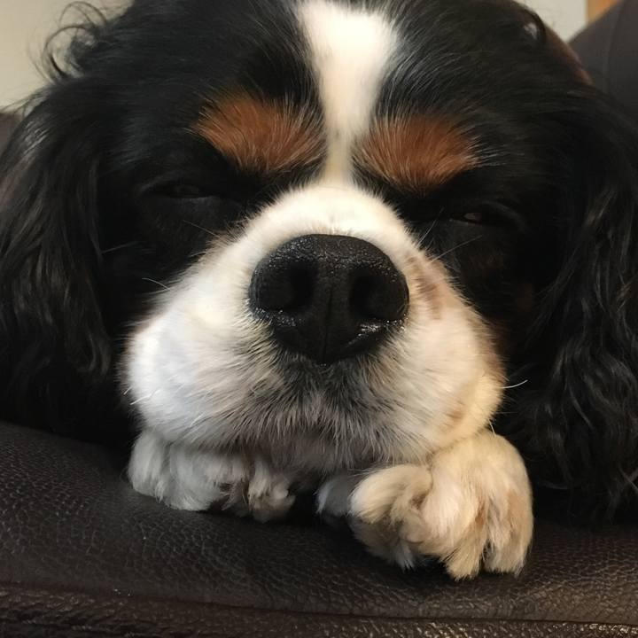 098a68b6 f327 4d63 afc3 68d94432fb10 1519472314917