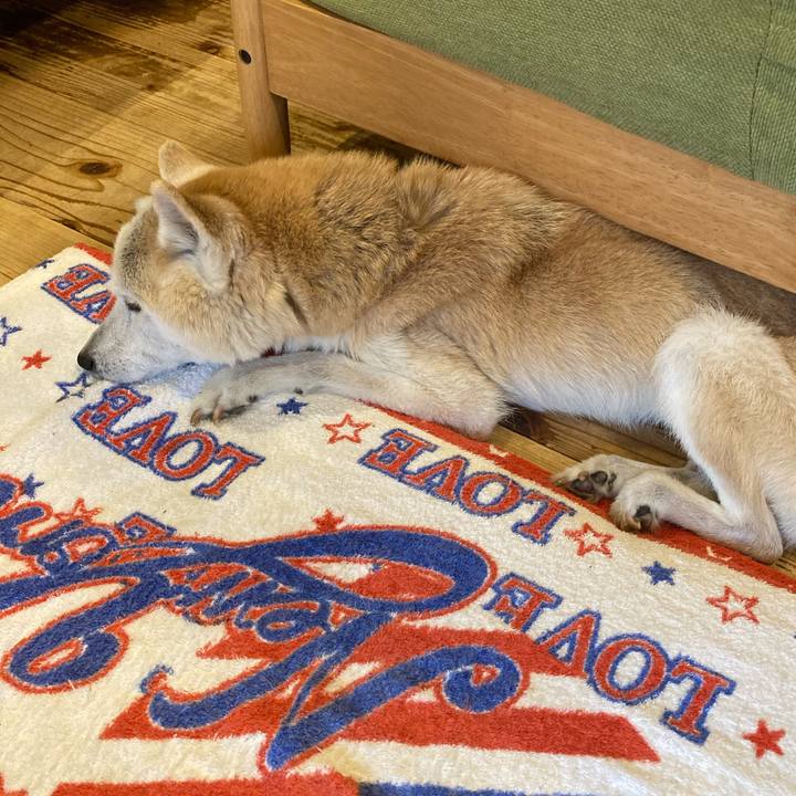 098a7fc7 51ce 485c 80af fac3d8b9b24e 1599209841918