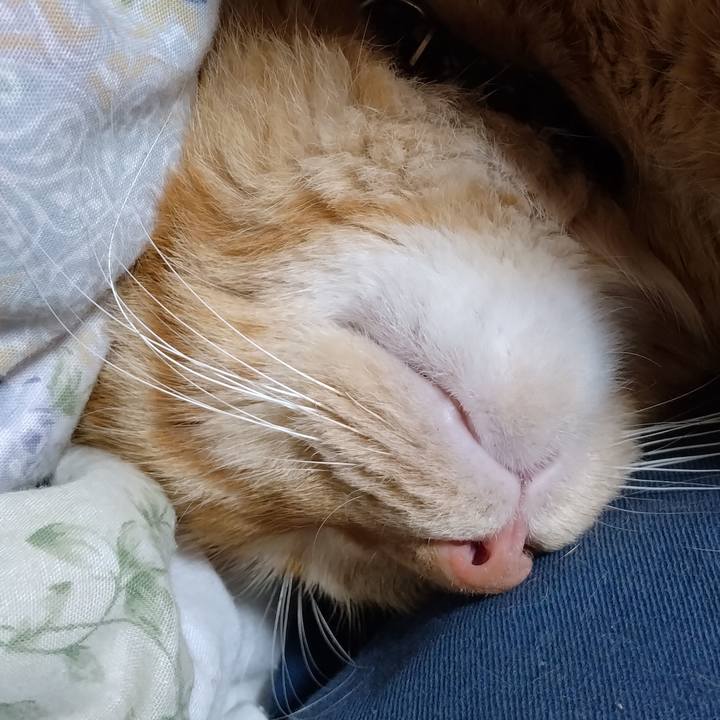 098af4f9 7351 4e18 a0b6 bf994bc6dedf 1699361334536