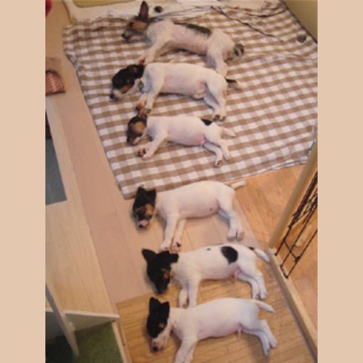 098b0779 20d4 41b8 bf3e d22ac2154efd 1559950412321