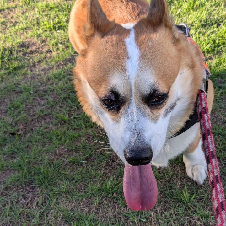 098b0fd4 0956 47da 9978 22acdc136c1a 1726038534673