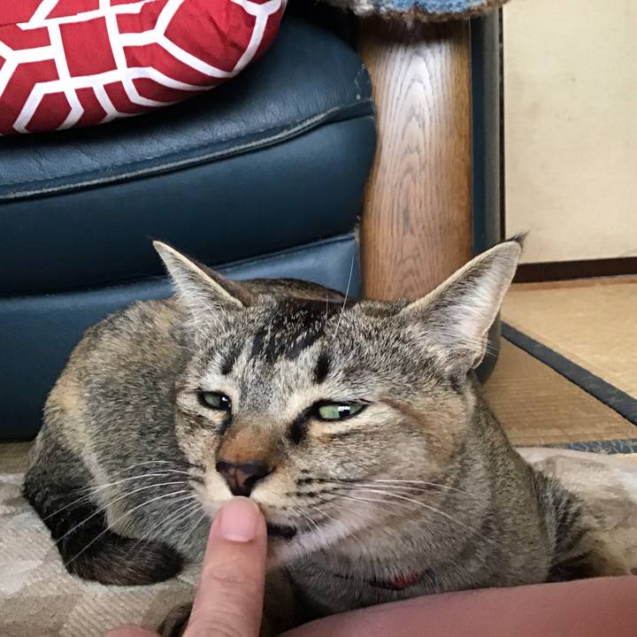 098b2260 dc69 4ef8 a767 3a56d0196962 1582331982944