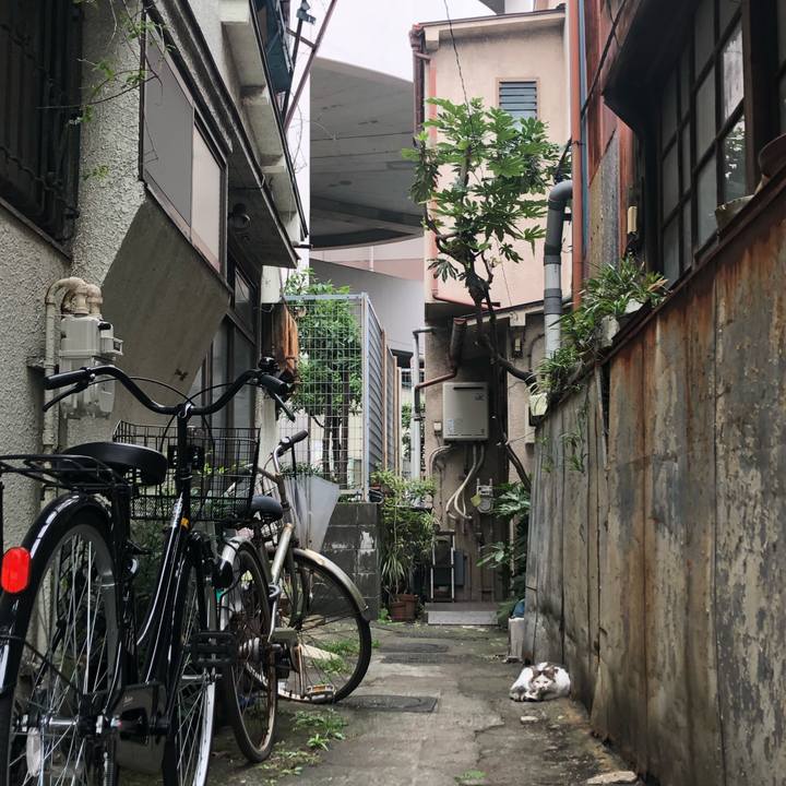 098b282d cba4 469c 8378 35e990dbb646 1569075177358