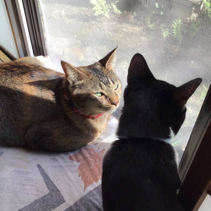 098b3d29 9b0a 451d 9527 783185f1589b 1634272225933