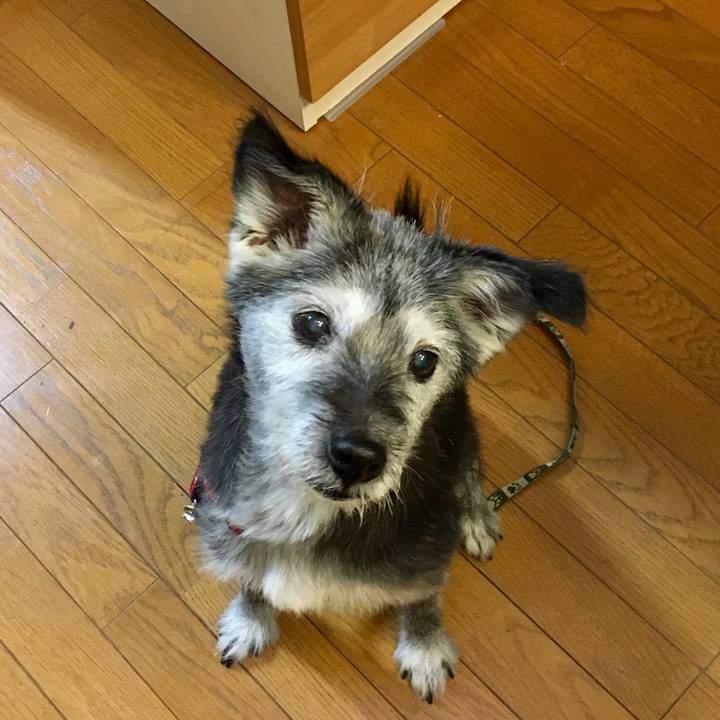 098c0923 72ac 4c79 9717 8e9423d4f0d9 1573166945298