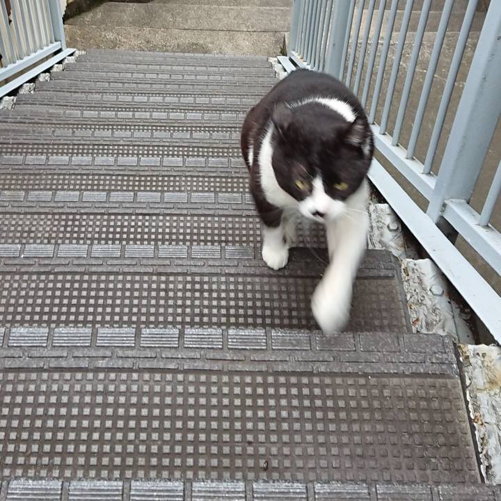 098c1a0e d85e 45d7 8afc 33b305899c6d 1590137934078