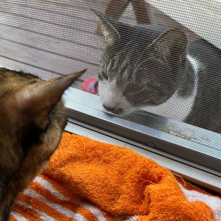 098c6599 197d 42a4 bf8a ea83f51e8246 1662161053537