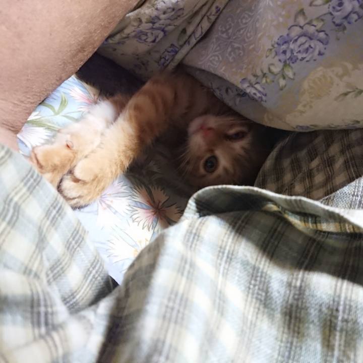 098c66ab 9825 48f2 8834 2fe52d683ab8 1629751004164